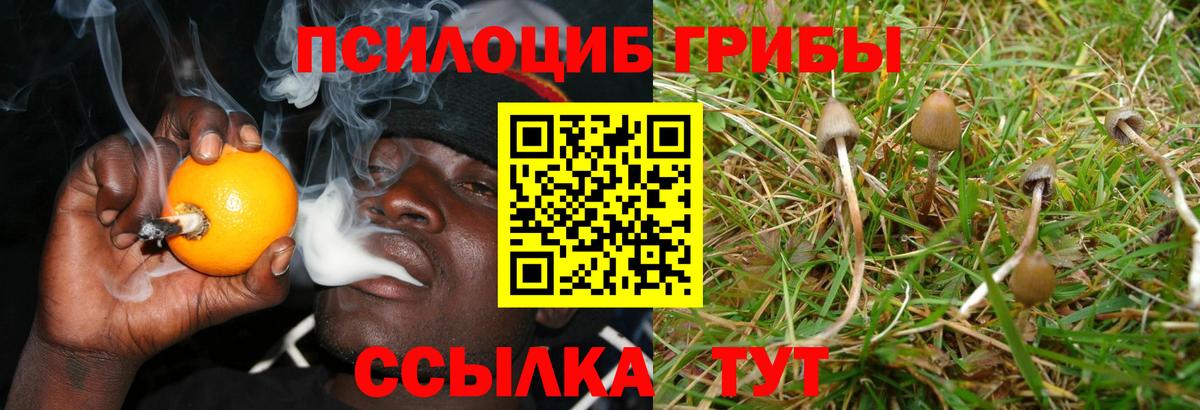 Псилоцибиновые грибы мицелий  Вход с VPN  Псилоцибиновые грибы Cubensis  Феодосия 